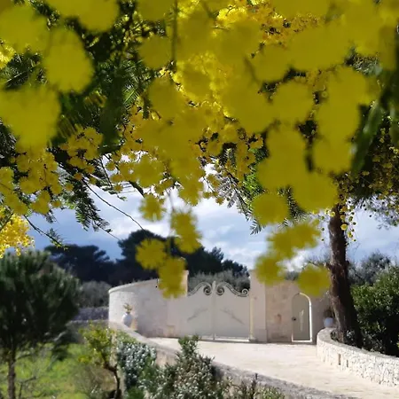 Karmel Valle D'itria * Cisternino