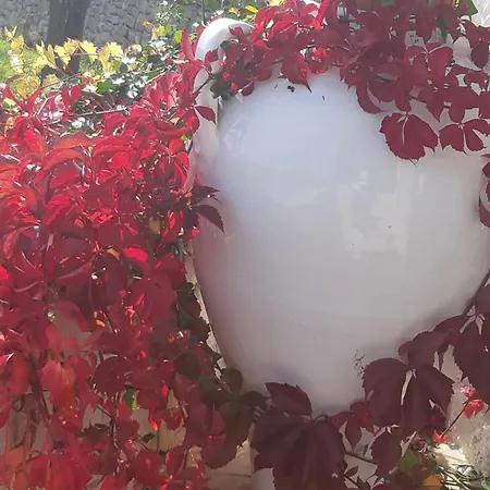 Karmel Valle D'itria Casa vacanze *